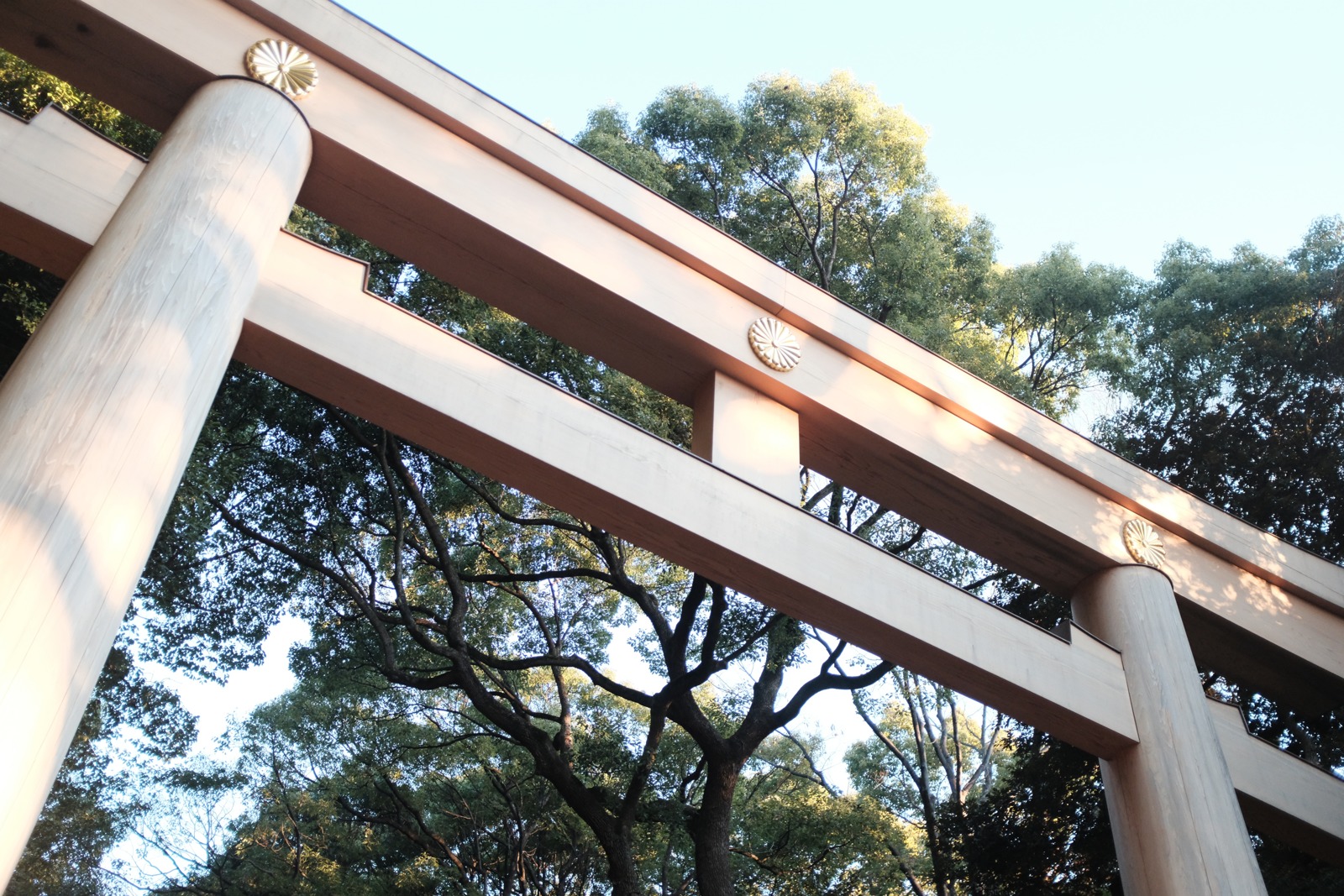 あけましておめでとうございます